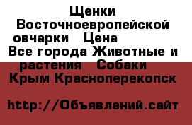 Щенки Восточноевропейской овчарки › Цена ­ 25 000 - Все города Животные и растения » Собаки   . Крым,Красноперекопск